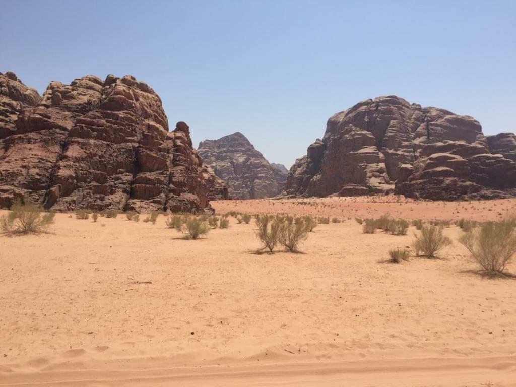 Wadi Rum-Bedouin Tents And Jeep Tours Exteriér fotografie