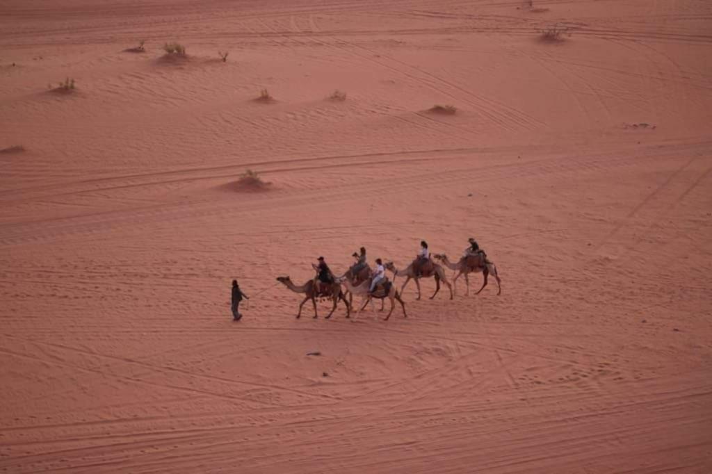 Wadi Rum-Bedouin Tents And Jeep Tours Exteriér fotografie